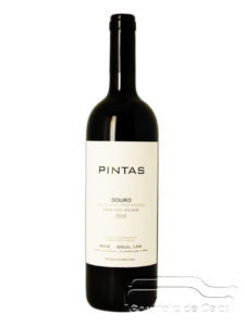 Pintas