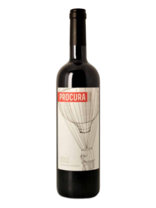 Procura Susana Esteban