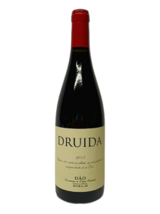 Druida