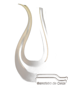 Decanter Amadeo