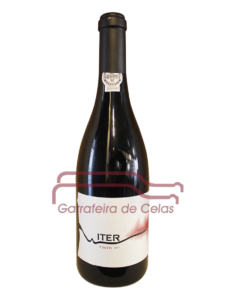 Iter